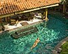 Villa Oost Indies - Swimming pool